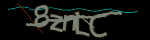 Enter the character string shown in the picture